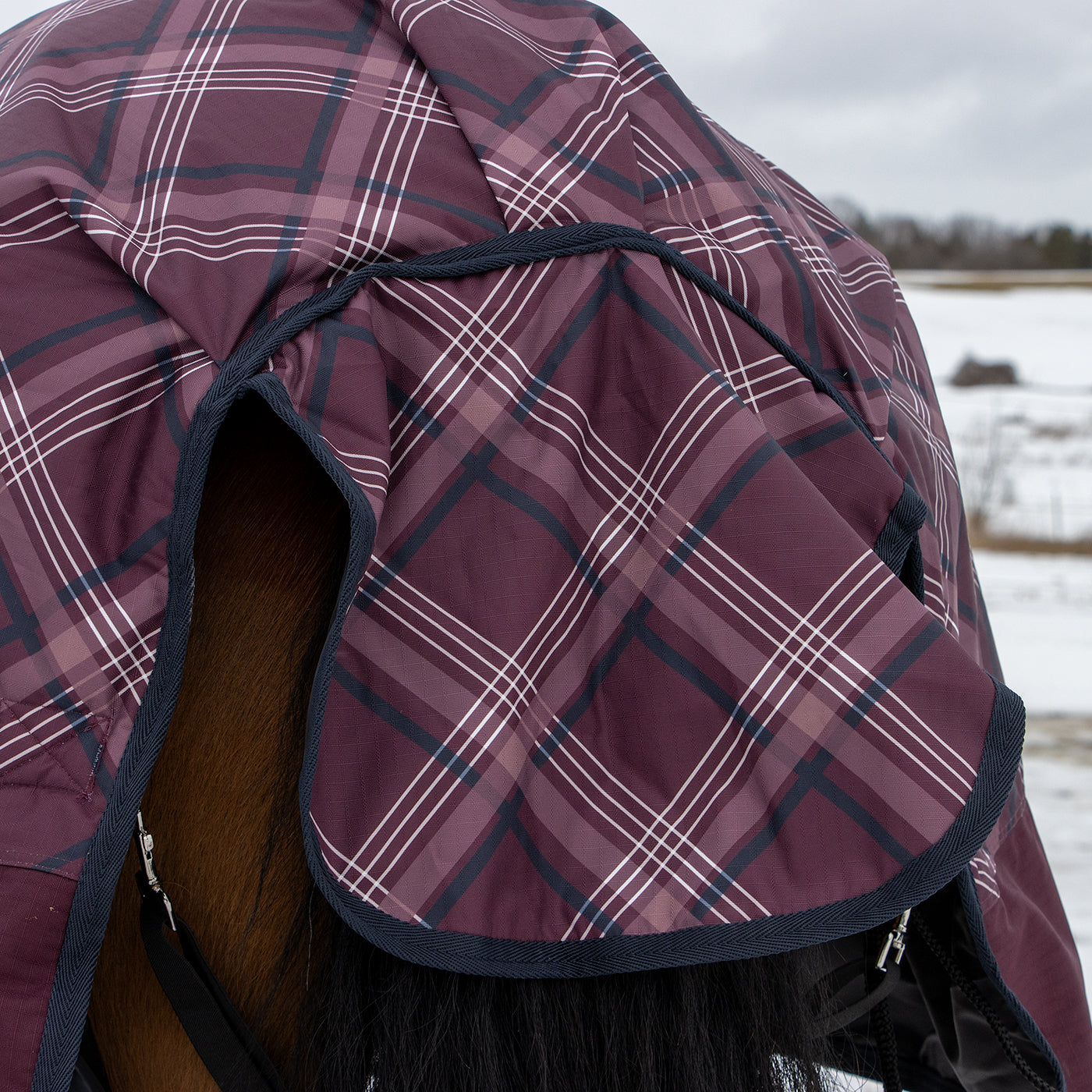 Supra Full Neck Turnout Blanket 300 g – Greenhawk Equestrian Sport