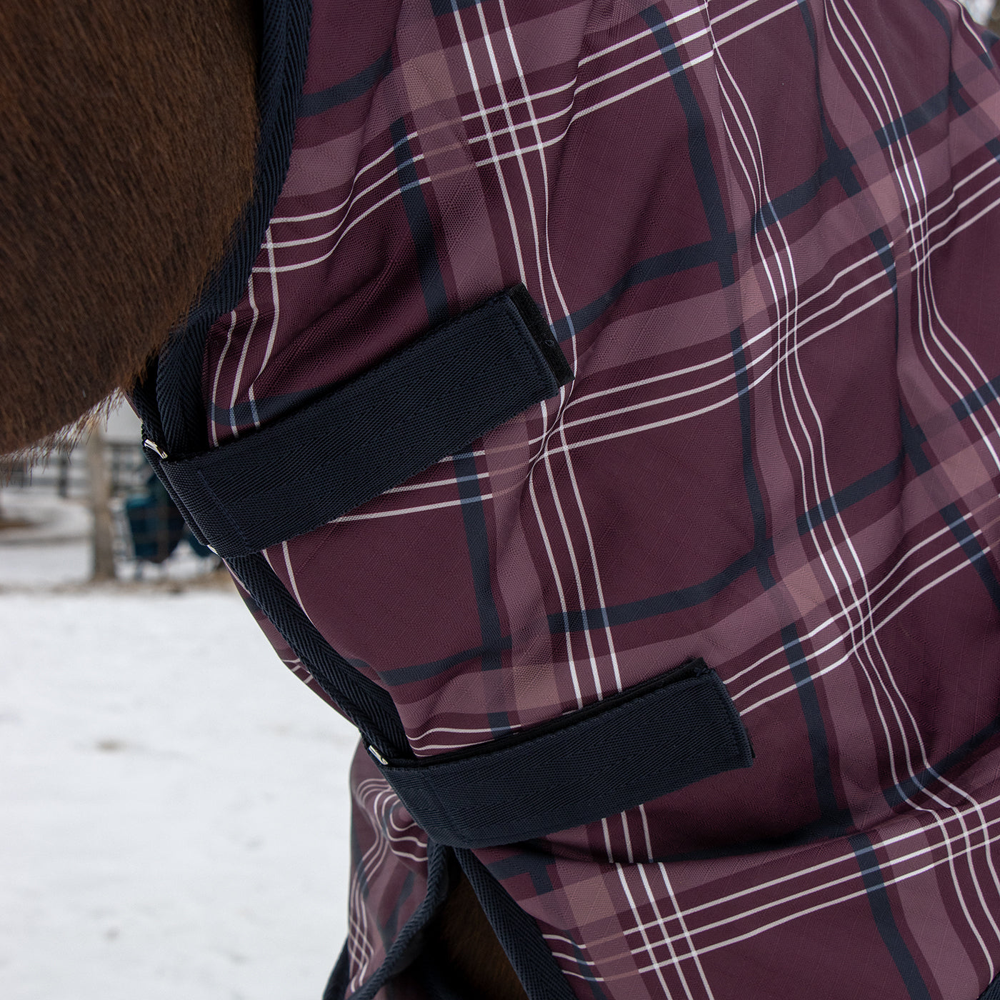 Supra Full Neck Turnout Blanket 300 g – Greenhawk Equestrian Sport