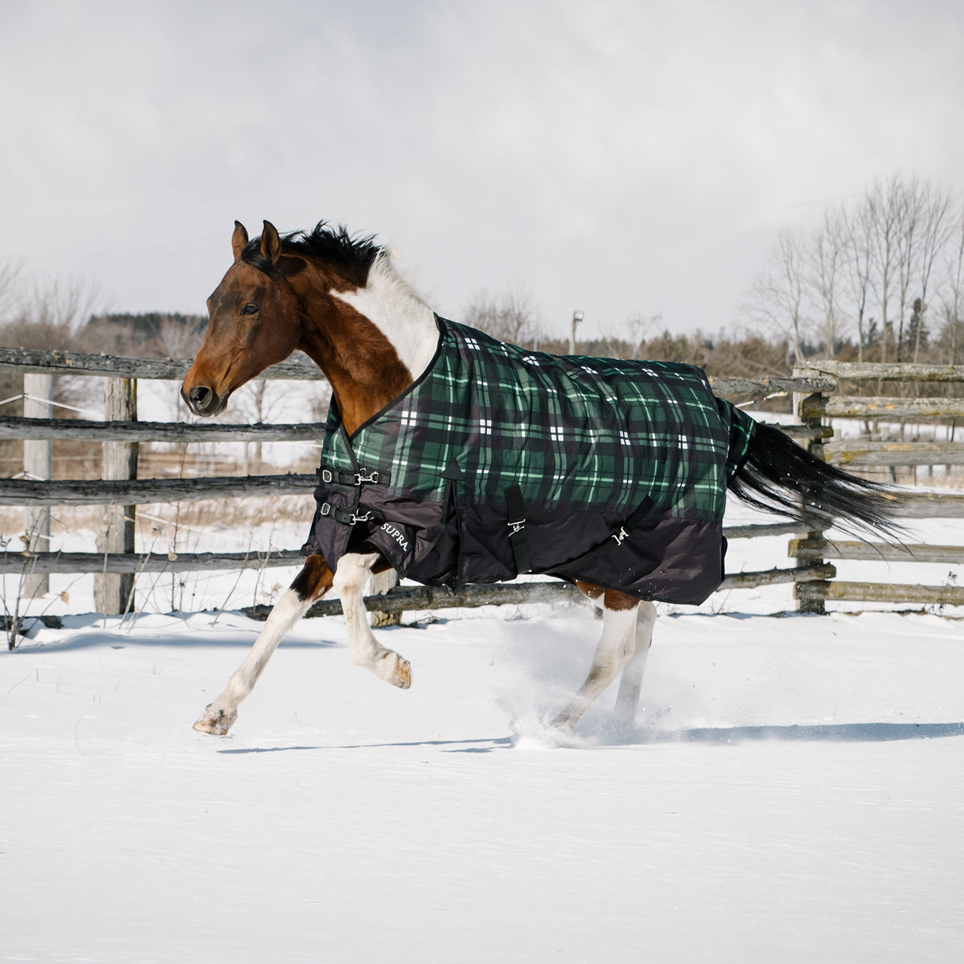 Supra Turnout Blanket 300 g – Greenhawk Equestrian Sport
