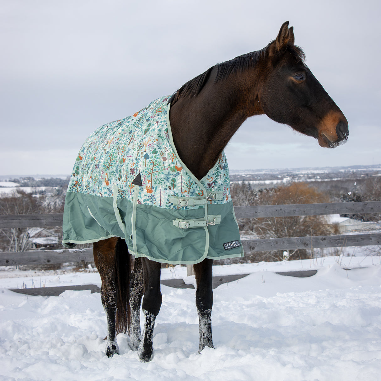 Supra Turnout Blanket 300 g