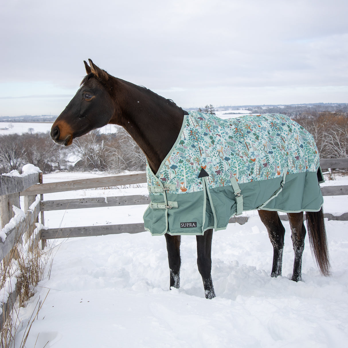 Supra Turnout Blanket 300 g
