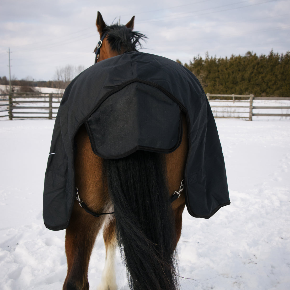 Shedrow Turnout Blanket 300 g