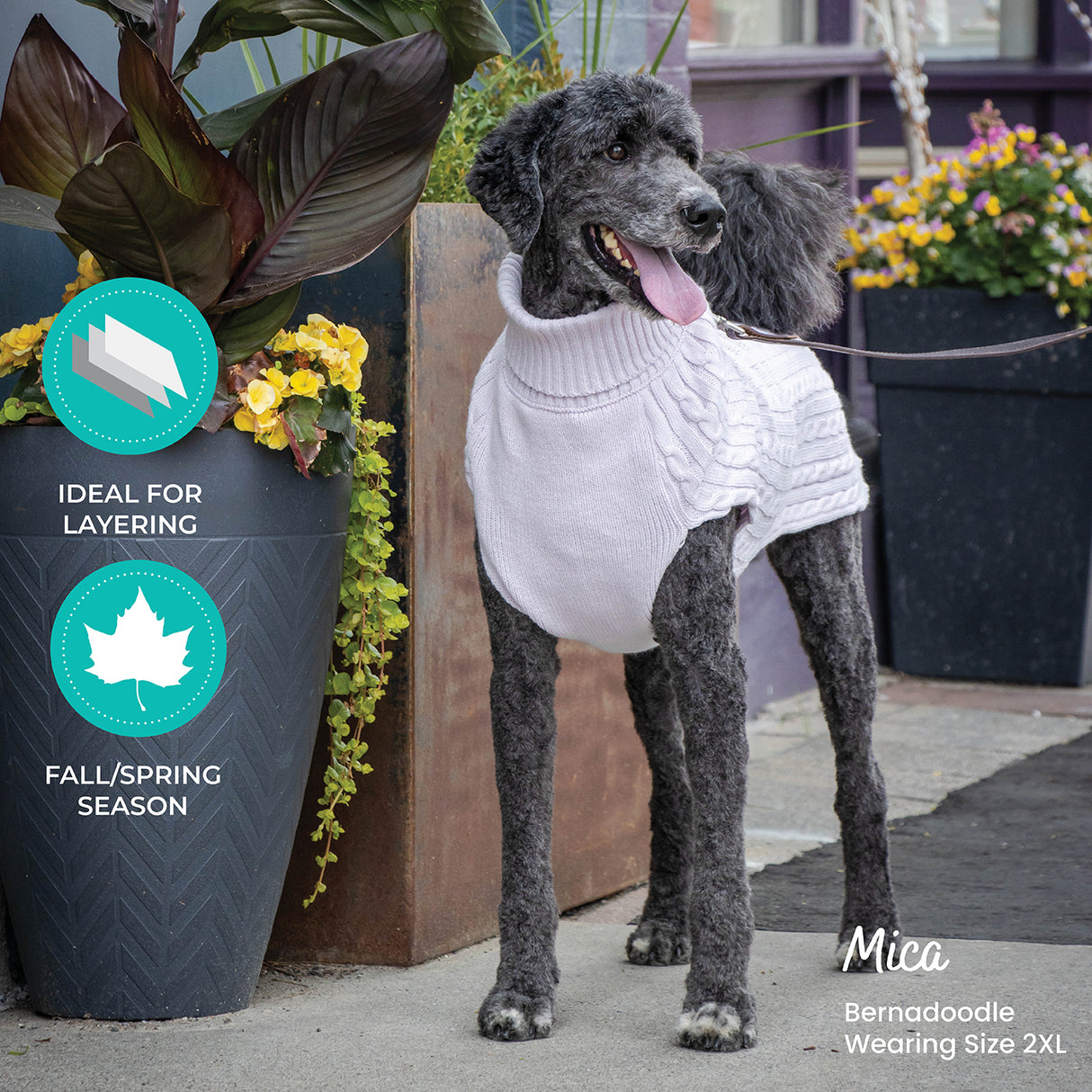 Shedrow K9 Brentwood Pull en tricot torsadé pour chien Plus