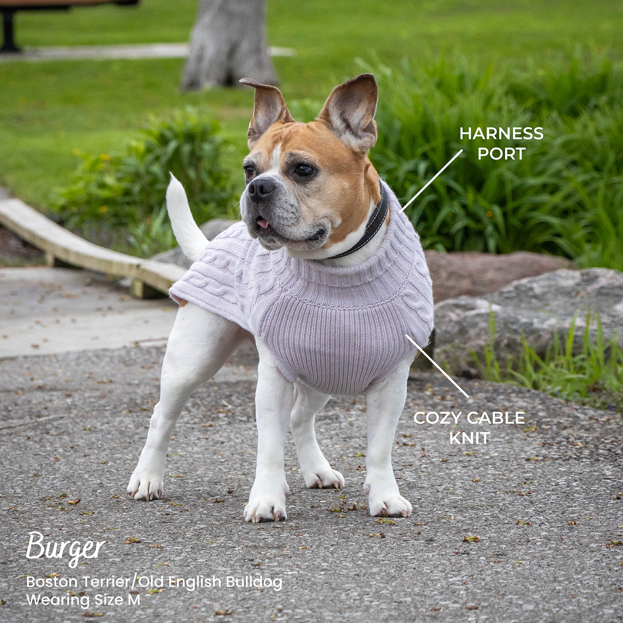 Shedrow K9 Brentwood Pull en tricot torsadé pour chien Plus