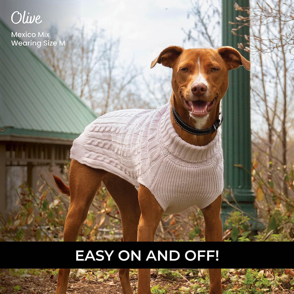 Shedrow K9 Brentwood Pull en tricot torsadé pour chien Plus