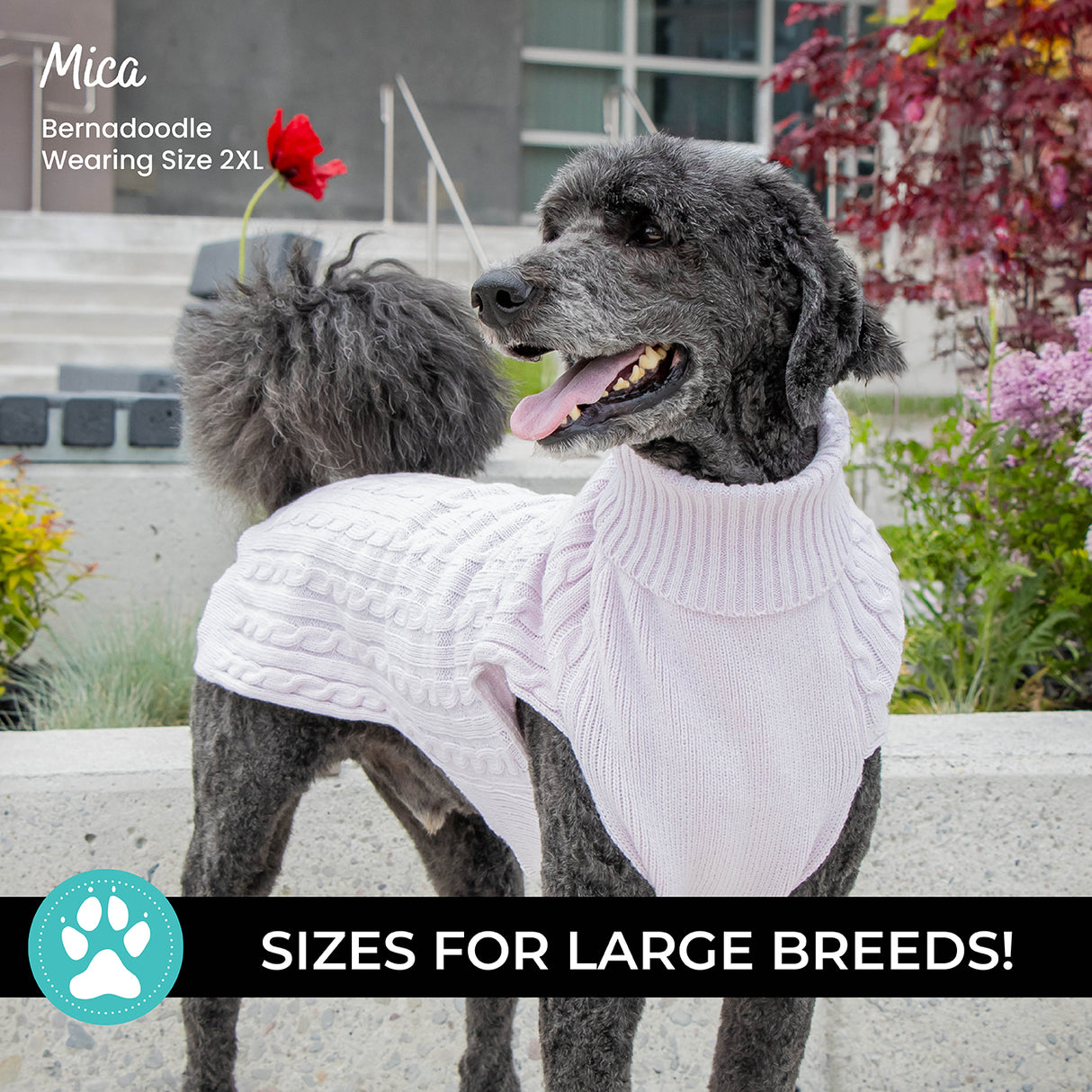 Shedrow K9 Brentwood Pull en tricot torsadé pour chien Plus