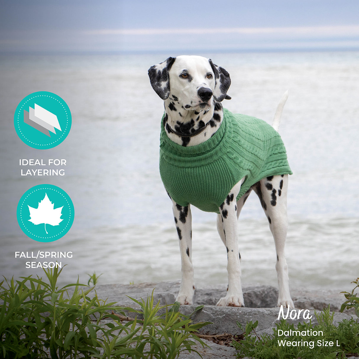 Shedrow K9 Brentwood Pull en tricot torsadé pour chien Plus