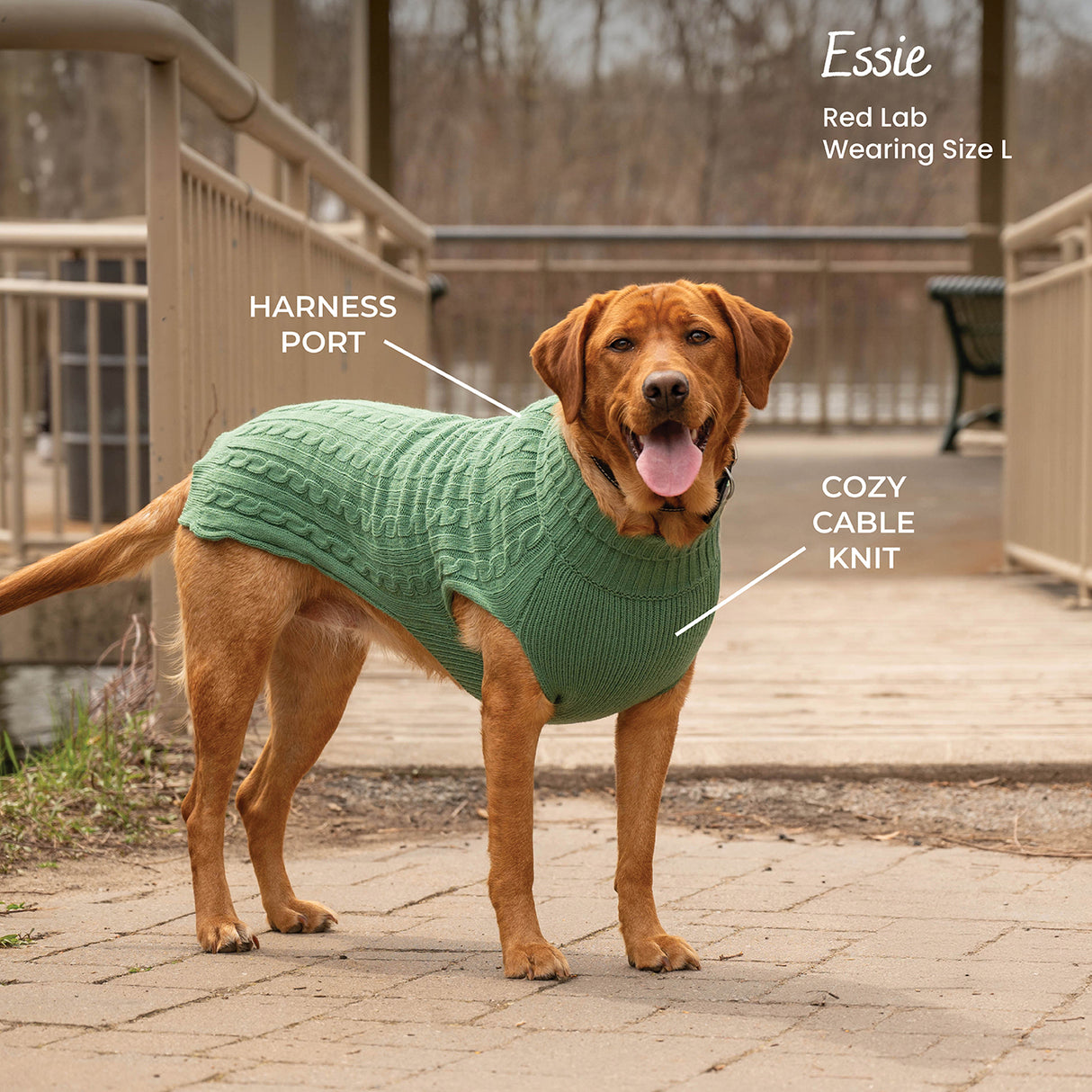 Shedrow K9 Brentwood Pull en tricot torsadé pour chien Plus