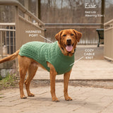 Shedrow K9 Brentwood Pull en tricot torsadé pour chien Plus