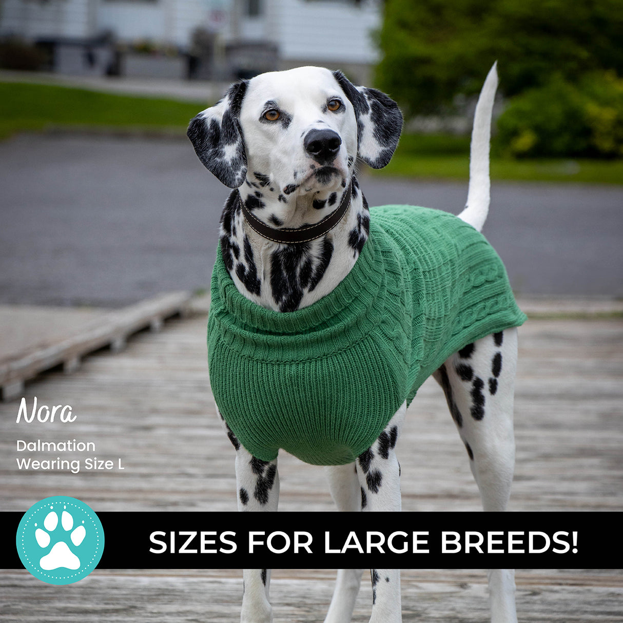 Shedrow K9 Brentwood Pull en tricot torsadé pour chien Plus