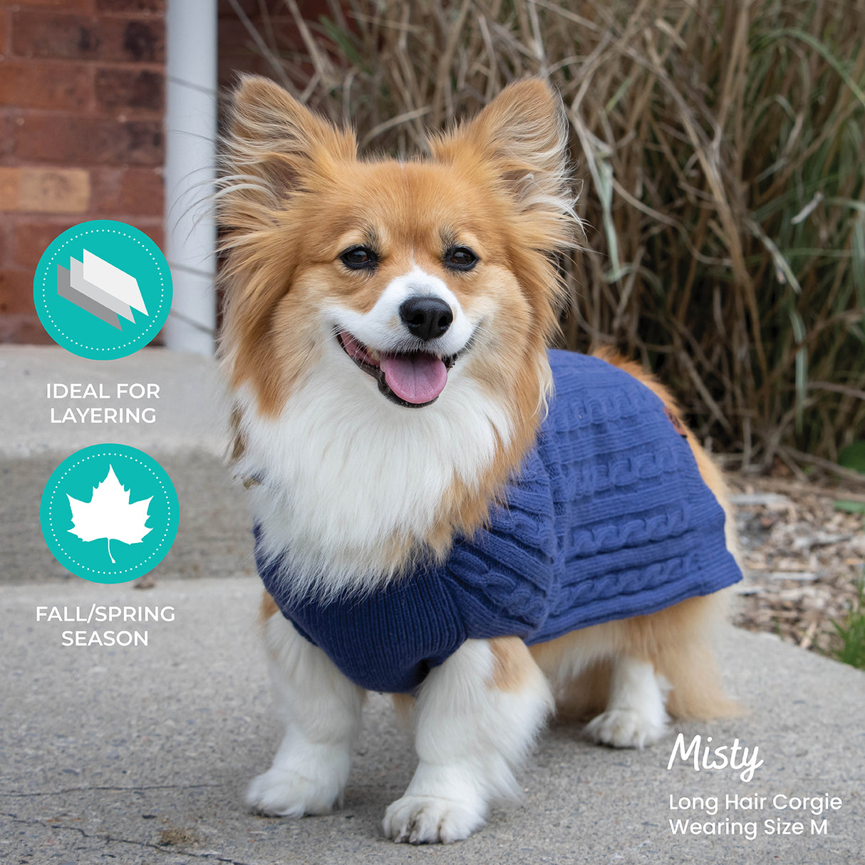 Shedrow K9 Brentwood Pull en tricot torsadé pour chien Plus