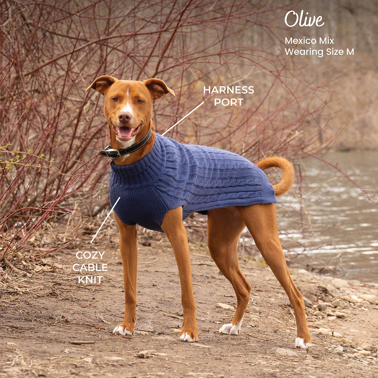 Shedrow K9 Brentwood Pull en tricot torsadé pour chien Plus