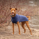 Shedrow K9 Brentwood Pull en tricot torsadé pour chien Plus