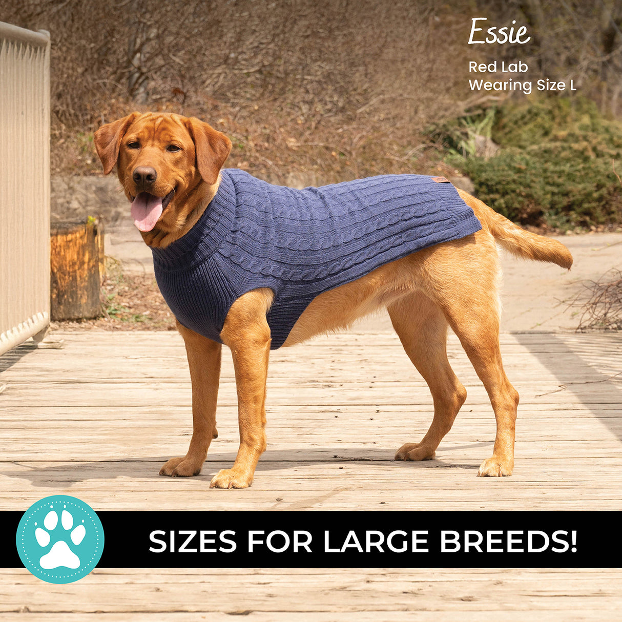 Shedrow K9 Brentwood Pull en tricot torsadé pour chien Plus
