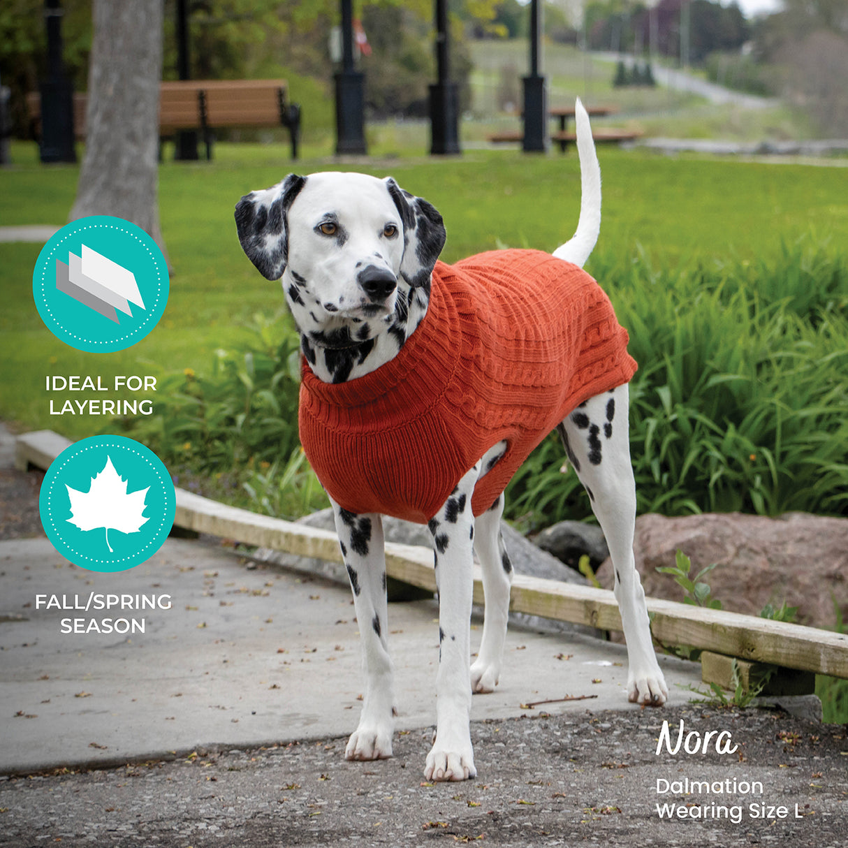 Shedrow K9 Brentwood Pull en tricot torsadé pour chien Plus