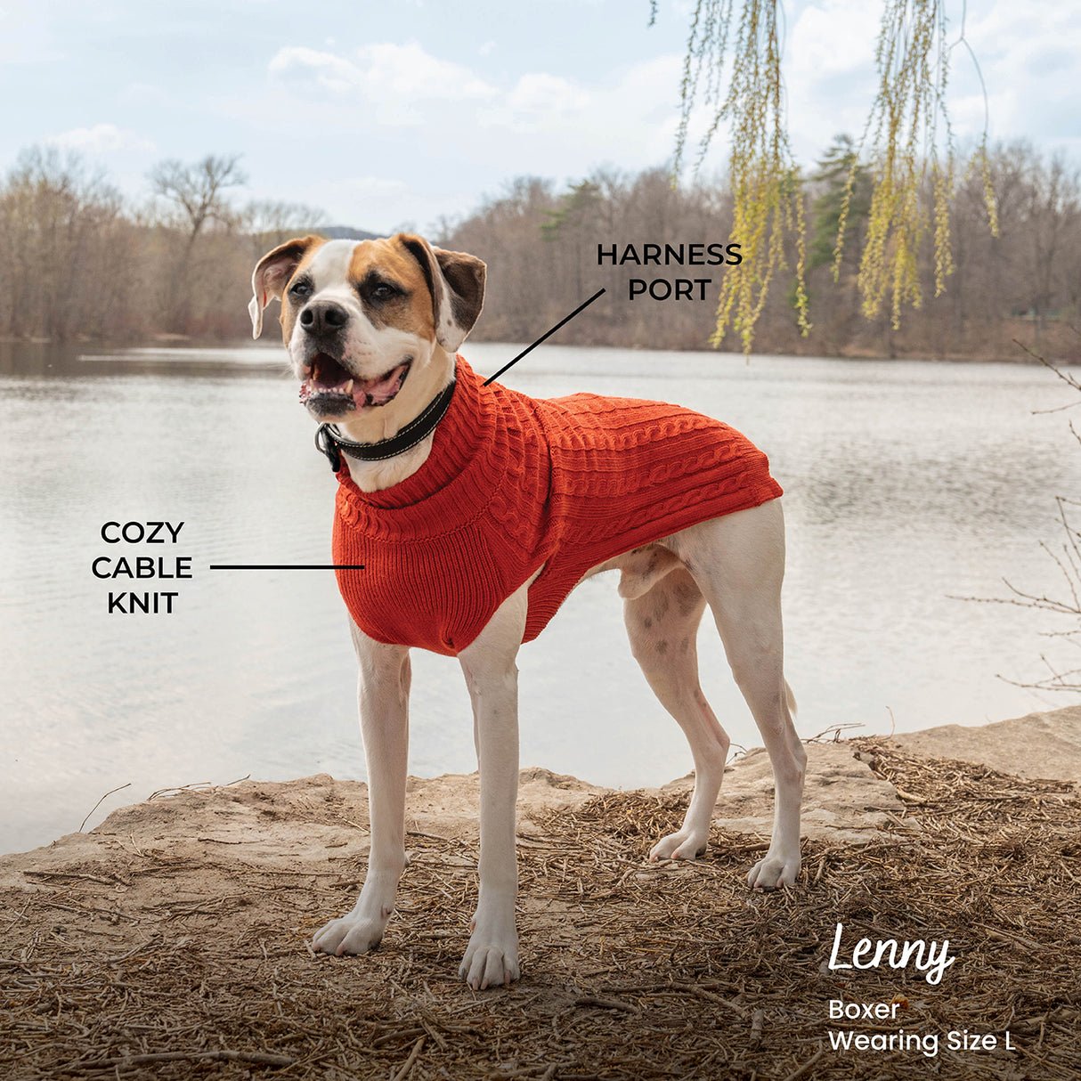 Shedrow K9 Brentwood Pull en tricot torsadé pour chien Plus