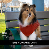 Shedrow K9 Brentwood Pull en tricot torsadé pour chien Plus