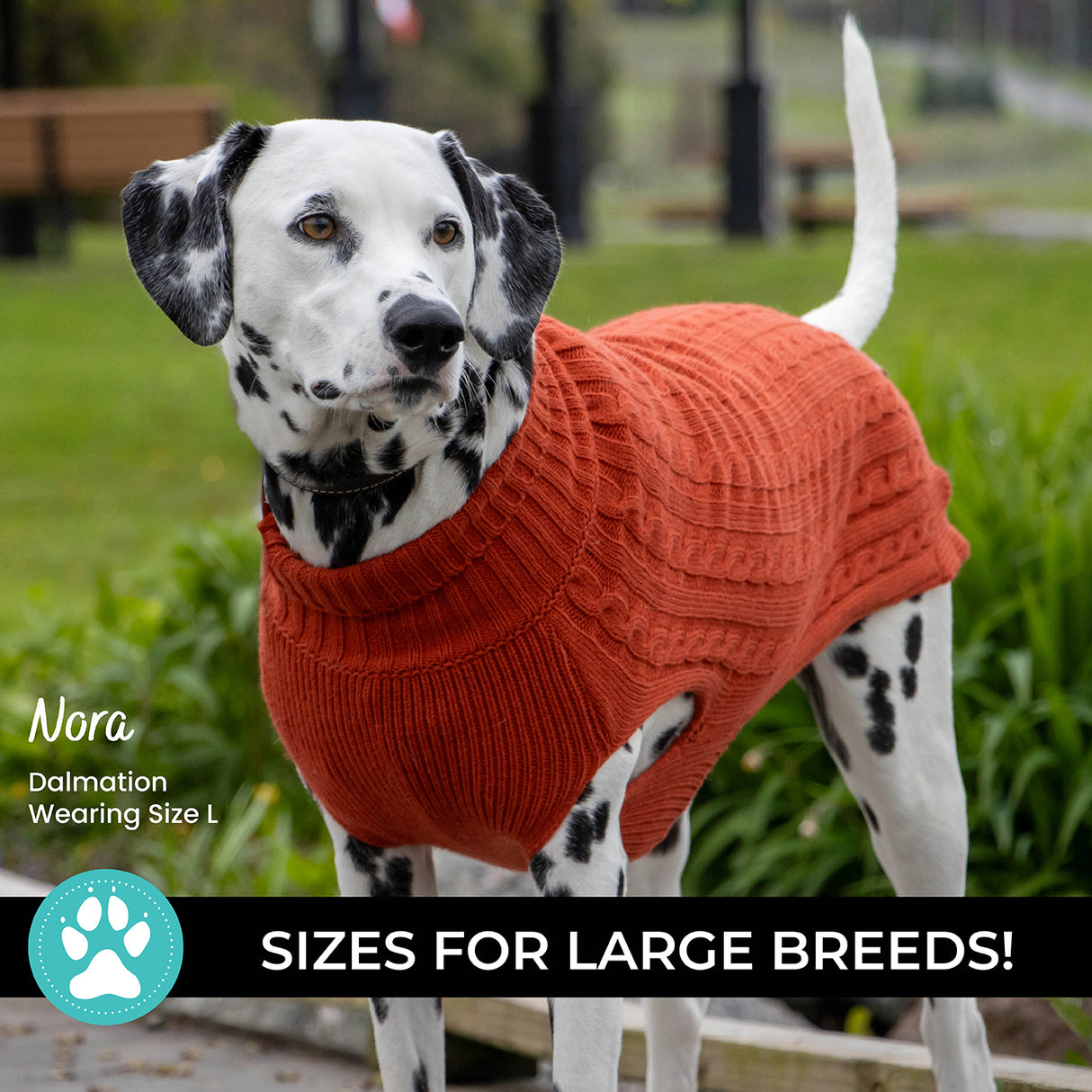 Shedrow K9 Brentwood Pull en tricot torsadé pour chien Plus