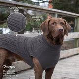 Shedrow K9 Brentwood Pull en tricot torsadé pour chien Plus