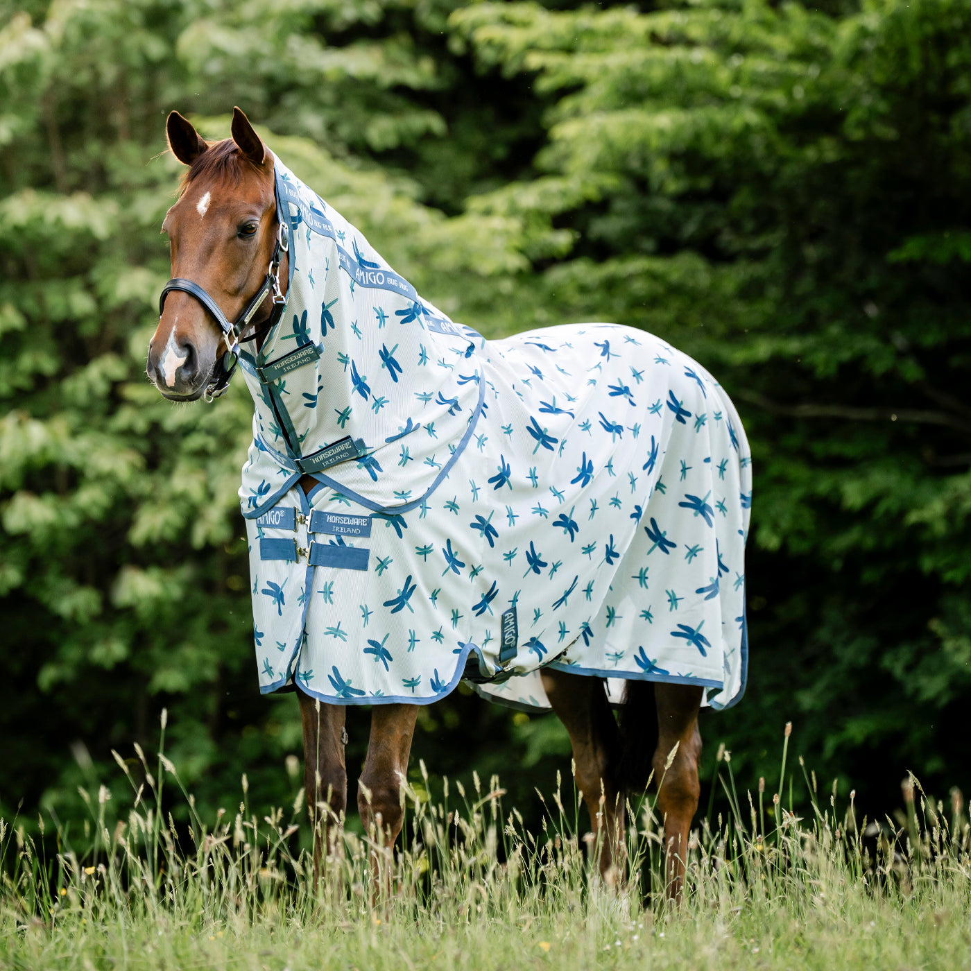 Amigo Bug Rug Plus Fly Sheet – Greenhawk Equestrian Sport