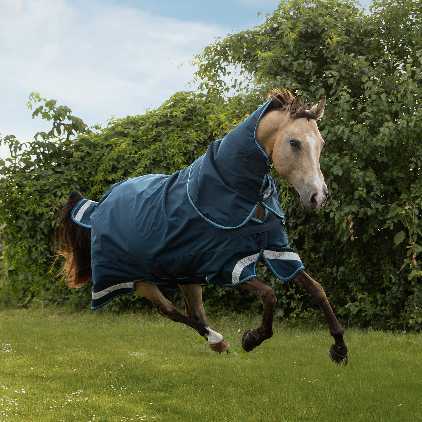Summit Nova Rainsheet W/ 0 g Hood – Greenhawk Equestrian Sport