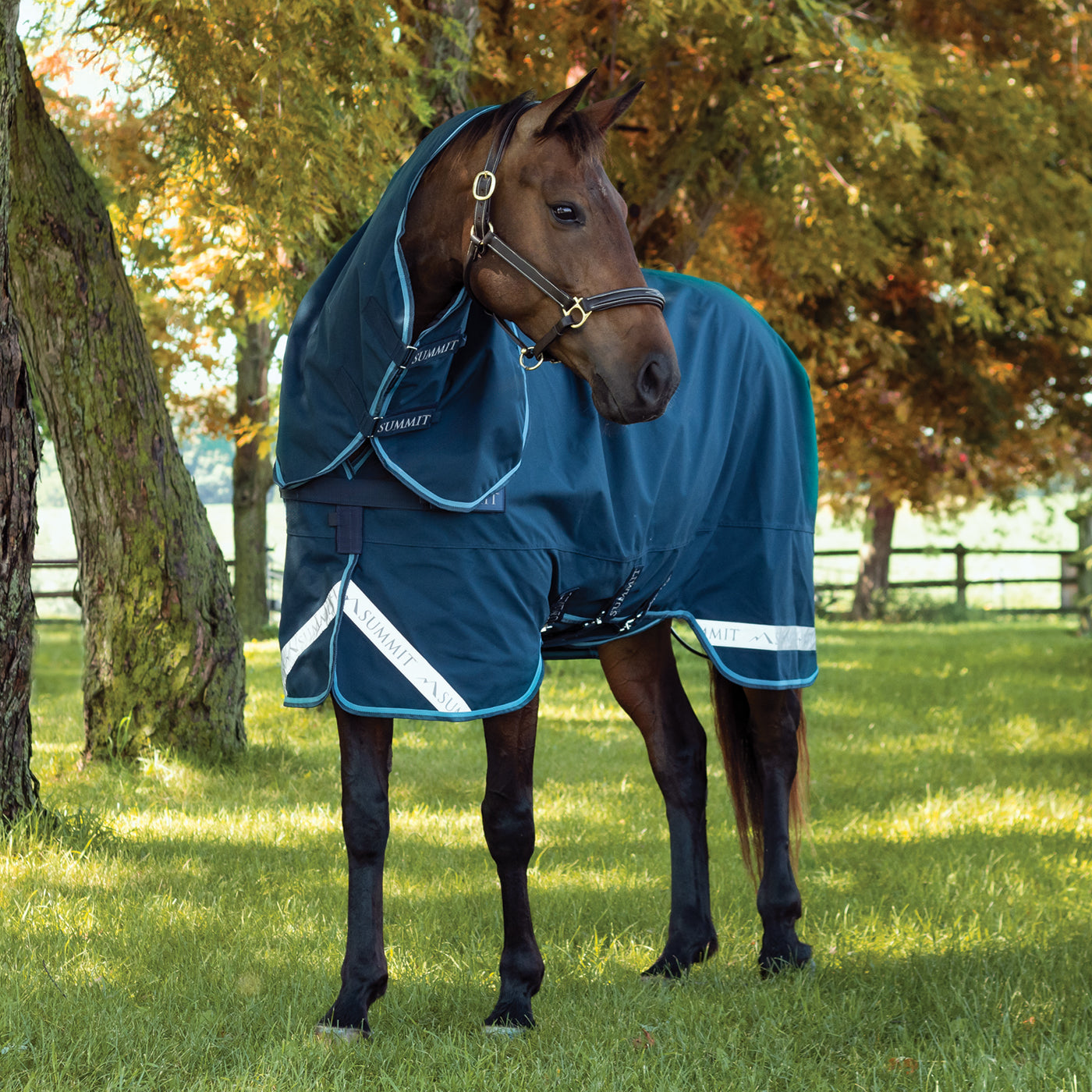 pluie ウマノリング Summit Nova Rainsheet W/ 0 g Hood – Greenhawk Equestrian Sport