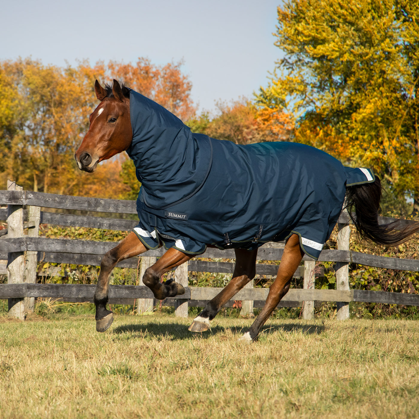 Summit Nova Turnout Blanket 100 g W/ Hood – Greenhawk Equestrian Sport