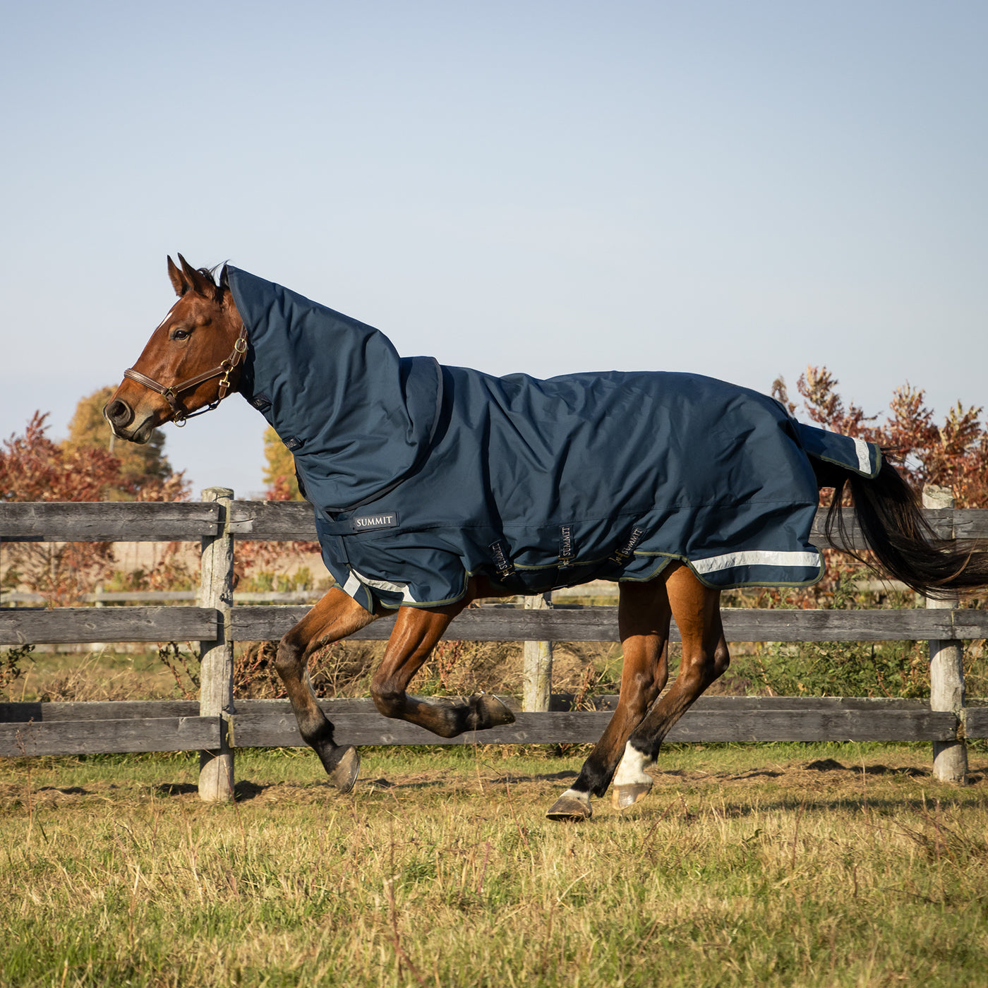 Summit Nova Turnout Blanket 100 g W/ Hood – Greenhawk Equestrian Sport