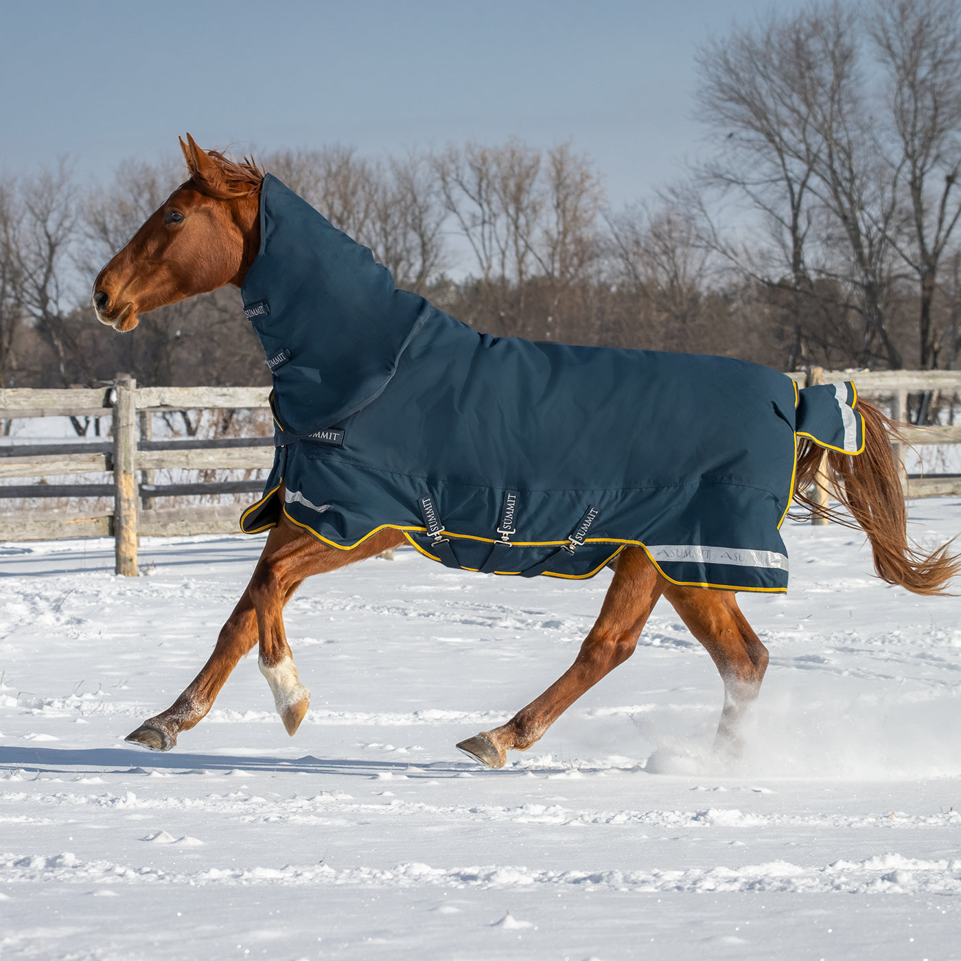 Summit Nova Turnout Blanket 250 g W/ 150 g Hood – Greenhawk