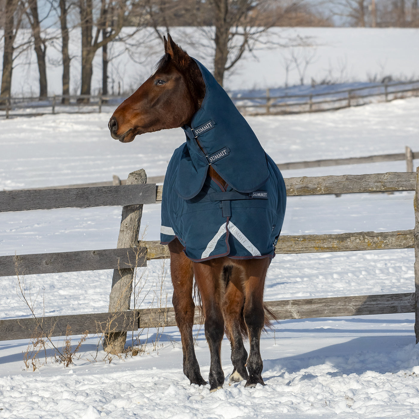 Summit Nova Turnout Blanket 400 g W/ 150 g Hood – Greenhawk