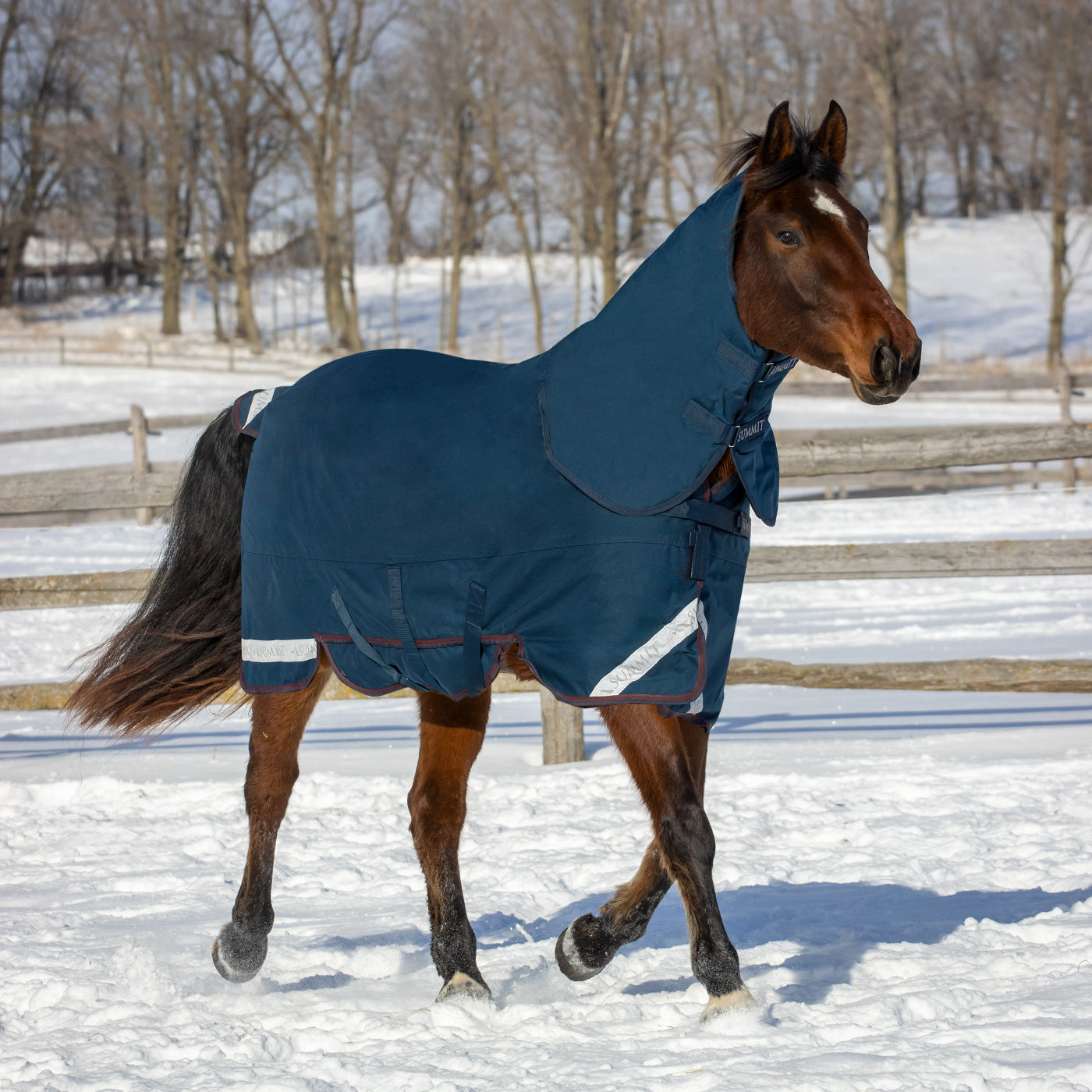 Summit Nova Turnout Blanket 400 g W/ 150 g Hood – Greenhawk