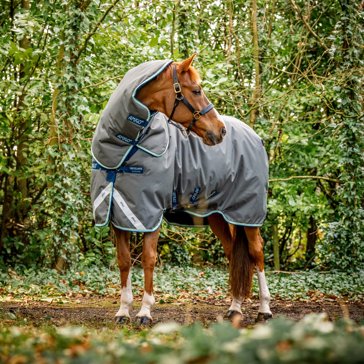 Amigo Bravo 12 Plus Heavy Turnout Blanket 400 g