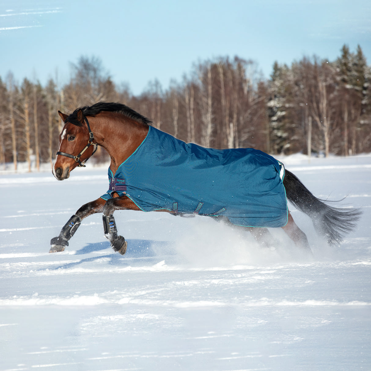 Rhino Original Medium Vari-Layer Turnout Blanket 250 g