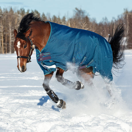 Rhino Original Medium Vari-Layer Turnout Blanket 250 g