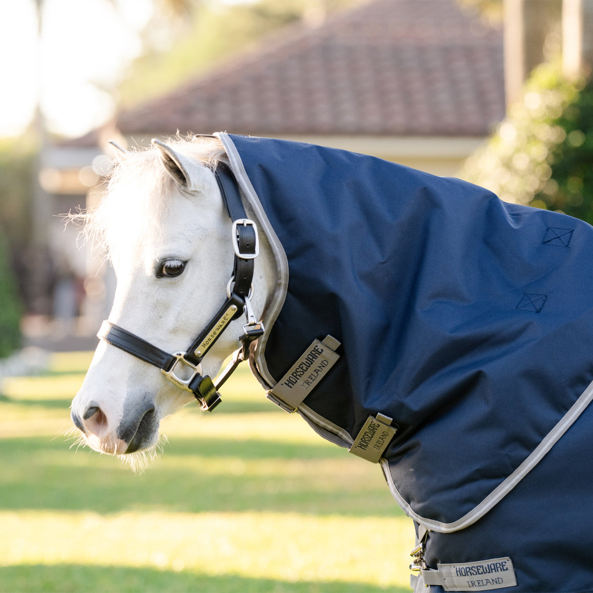Couverture d'extérieur Amigo 1200D Plus pour poney 0 g