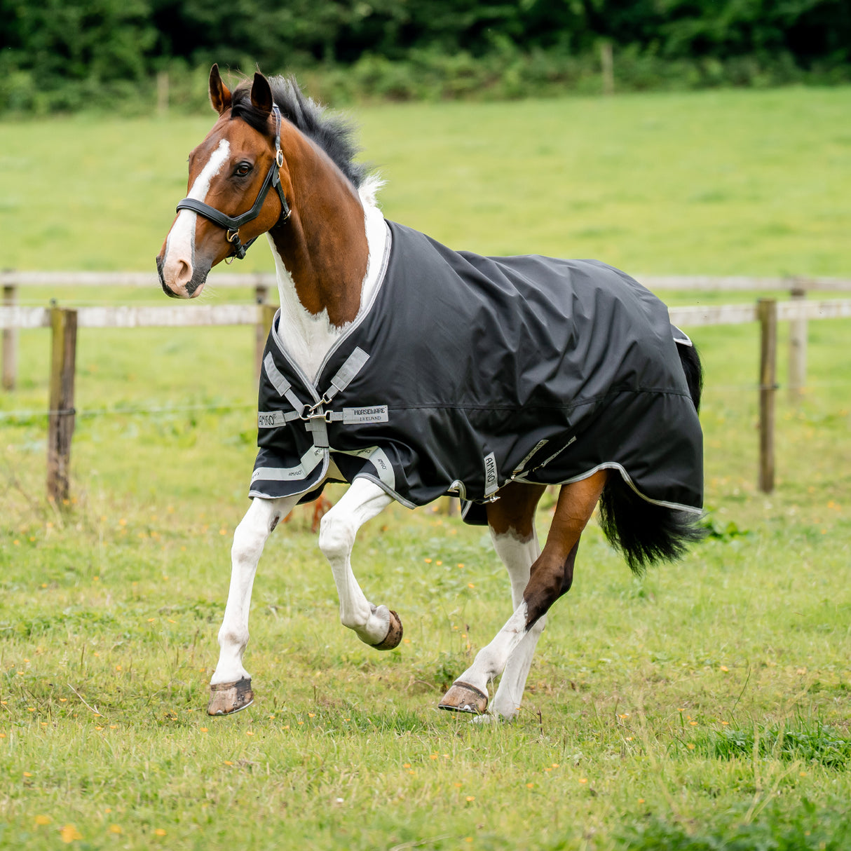 Amigo XL Turnout Blanket 250 g