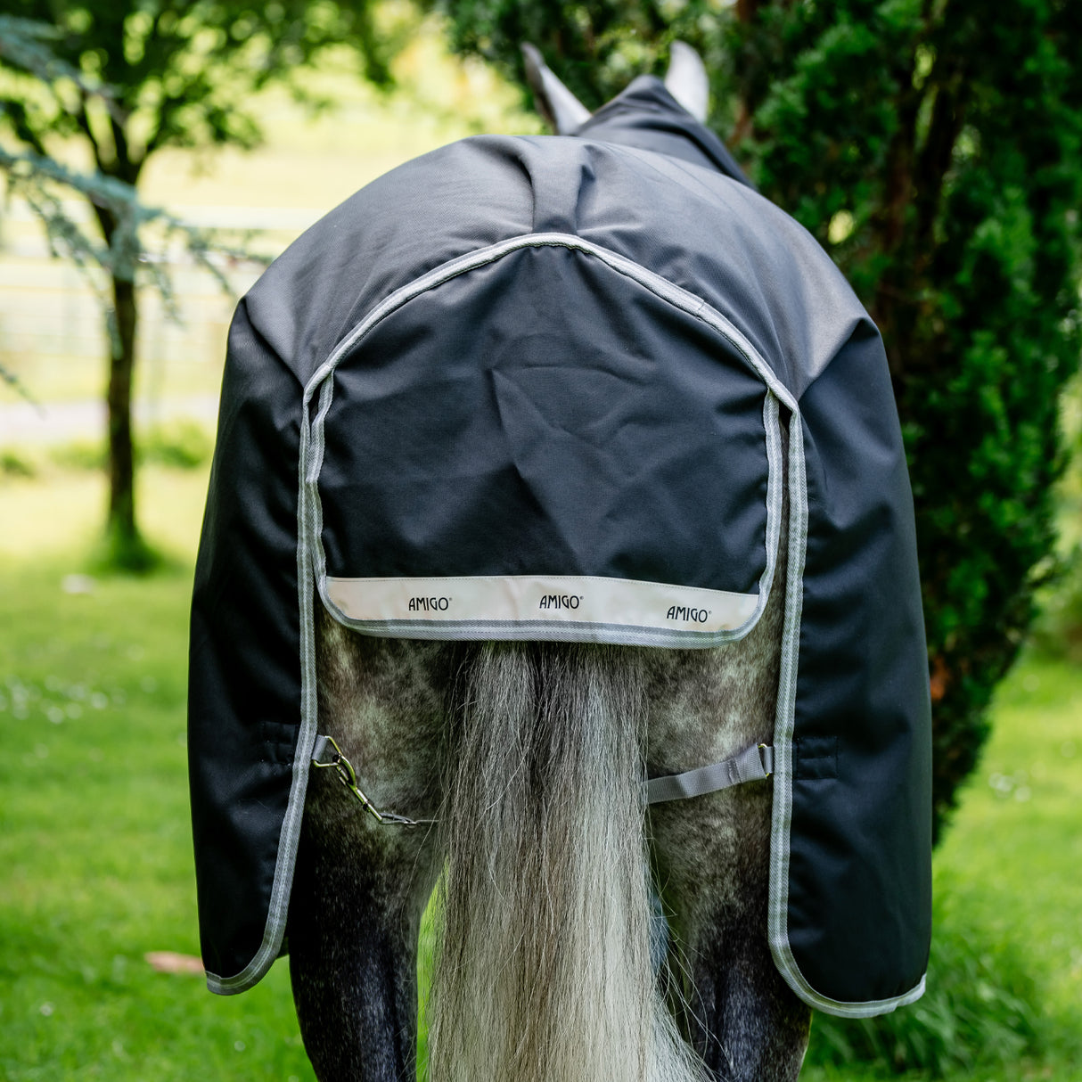Amigo XL Turnout Blanket 250 g