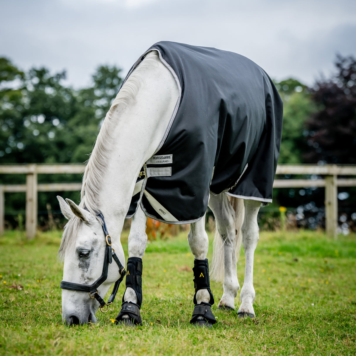 Couverture d'extérieur Amigo Bravo 12 Original 0 g