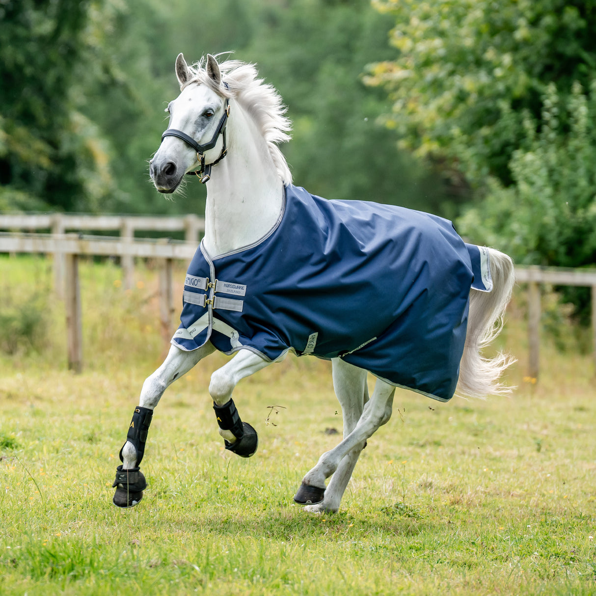 Amigo Bravo 12 Original Turnout Blanket 0 g