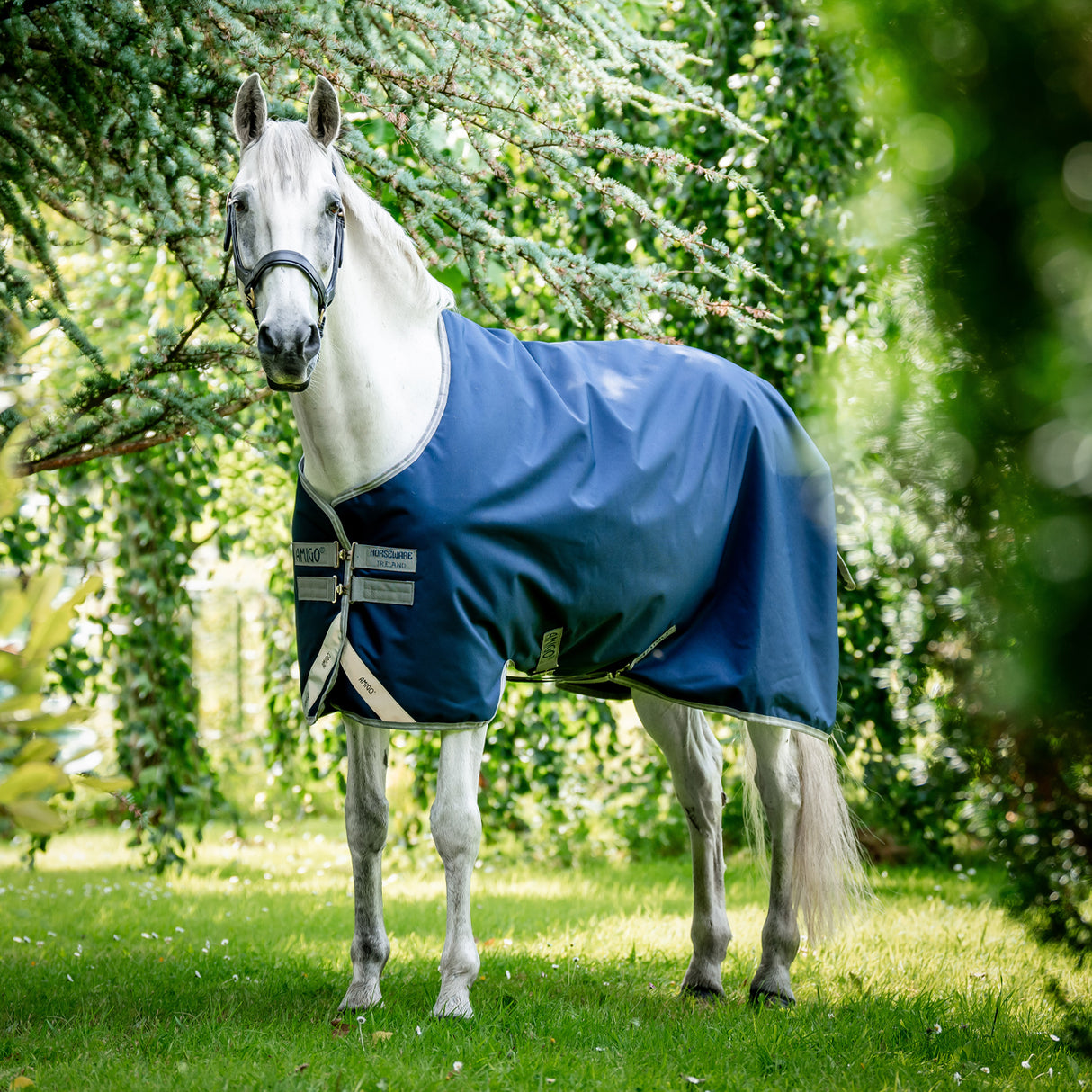 Amigo Bravo 12 Original Turnout Blanket 0 g