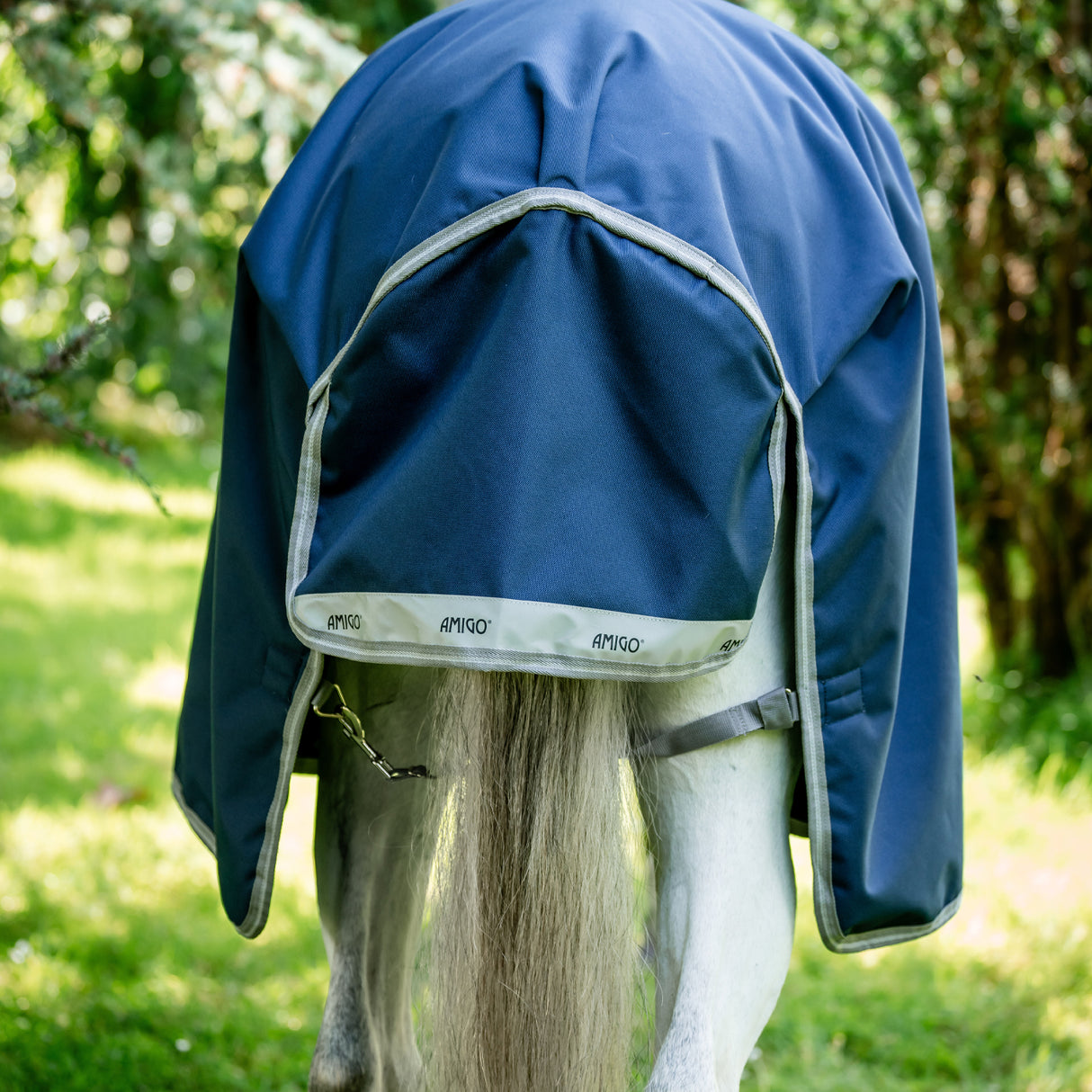 Amigo Bravo 12 Original Turnout Blanket 0 g