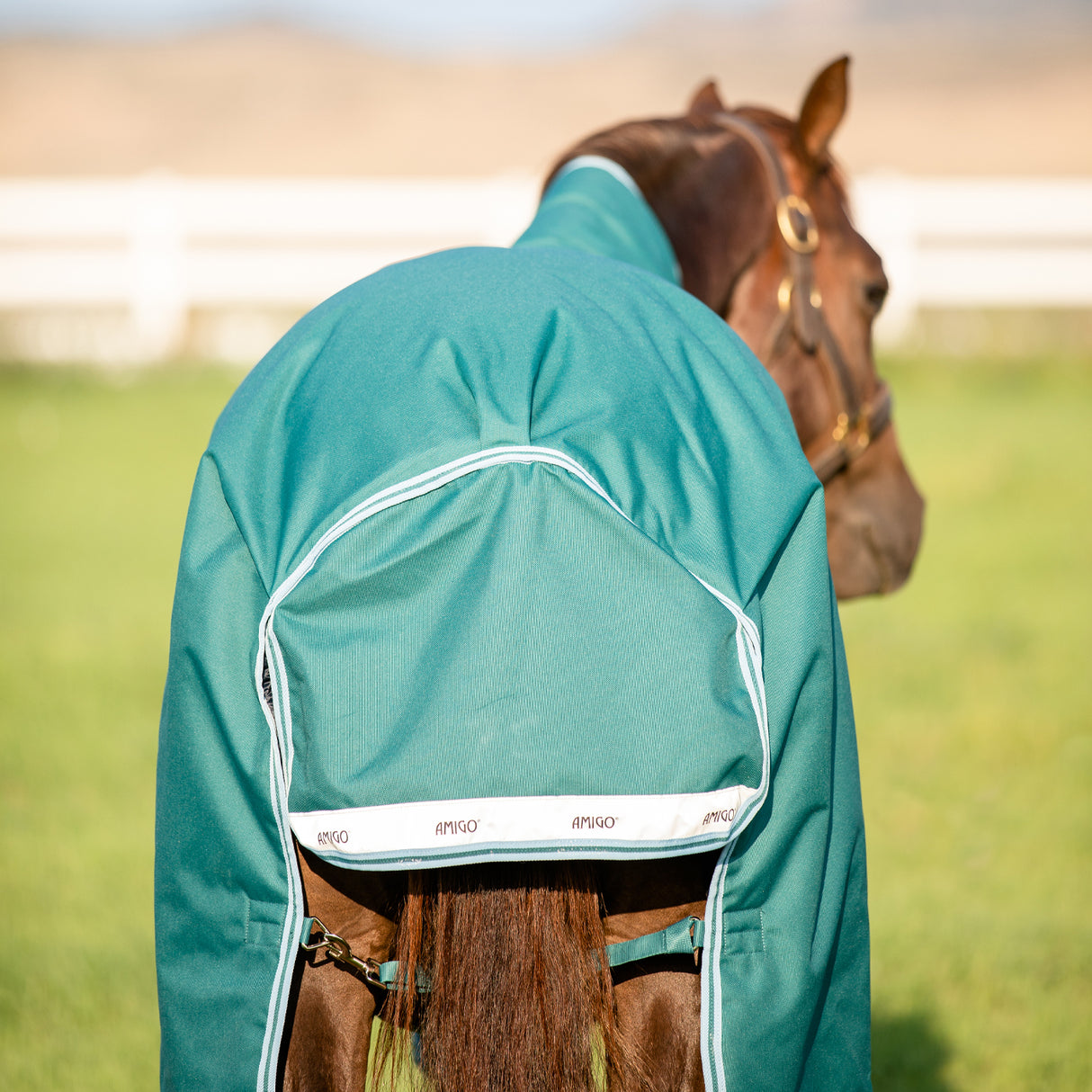 Amigo Bravo 12 Wug Couverture de participation moyenne 250 g