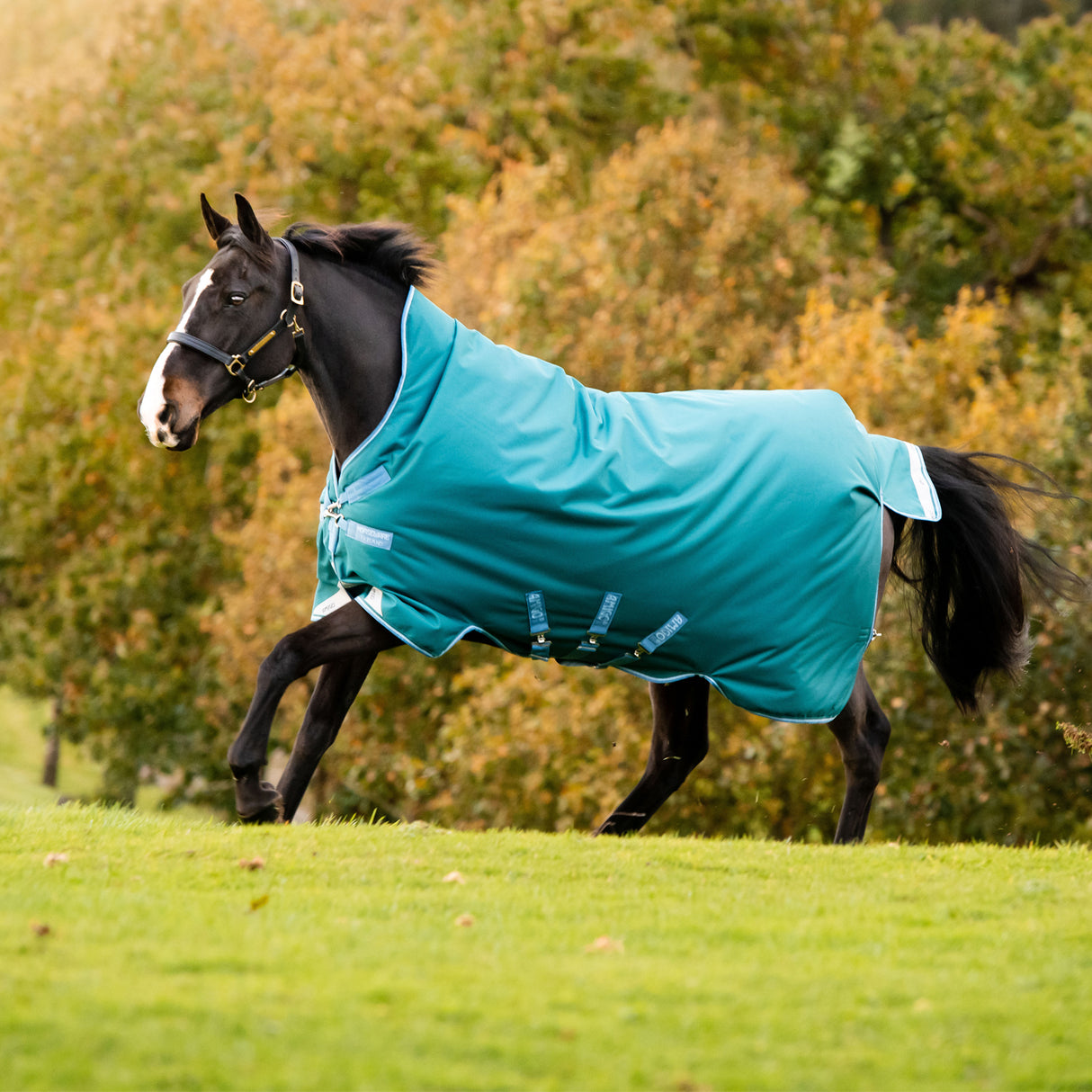 Amigo Bravo 12 Wug Heavy Turnout Blanket 400 g