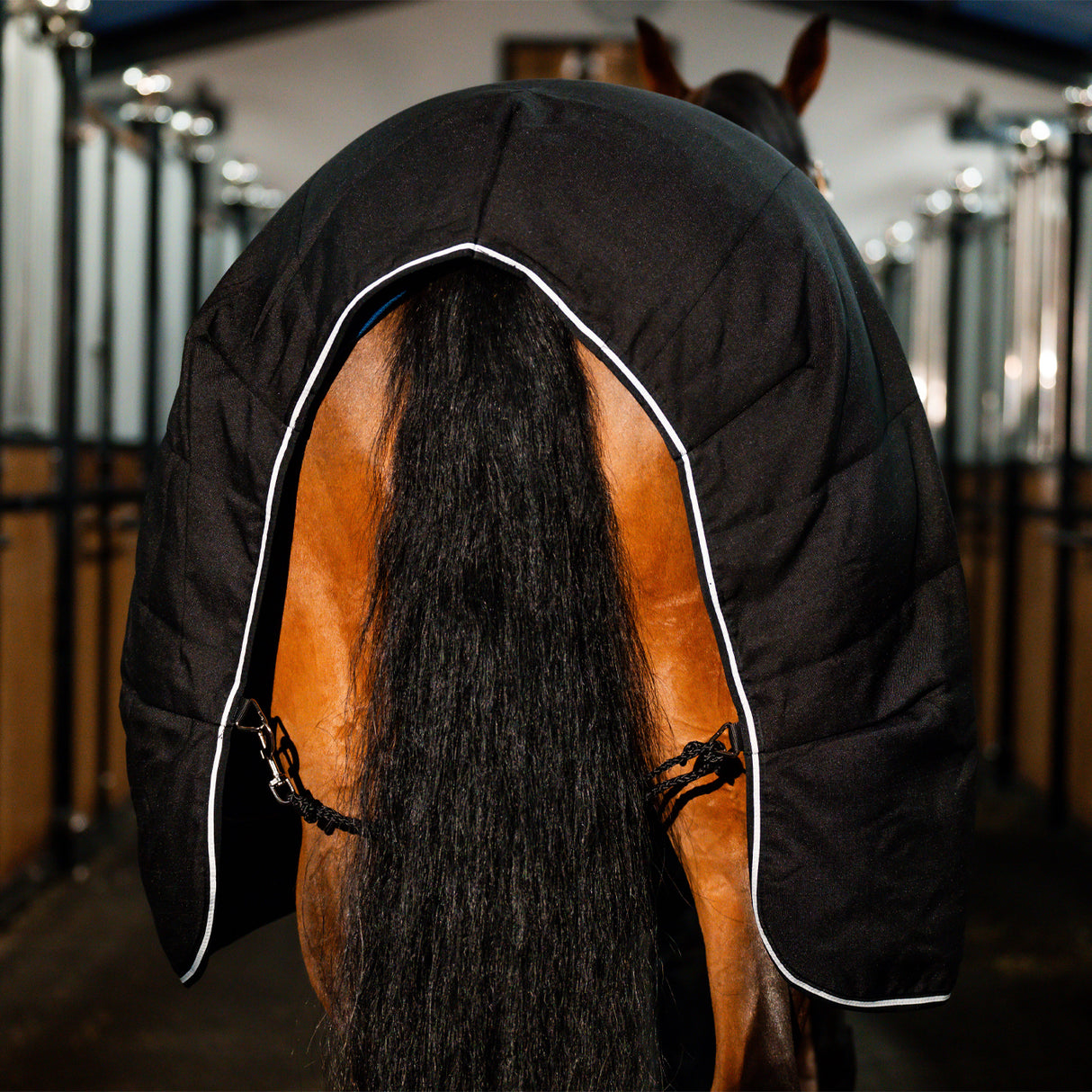 Rambo Stable Blanket 100 g