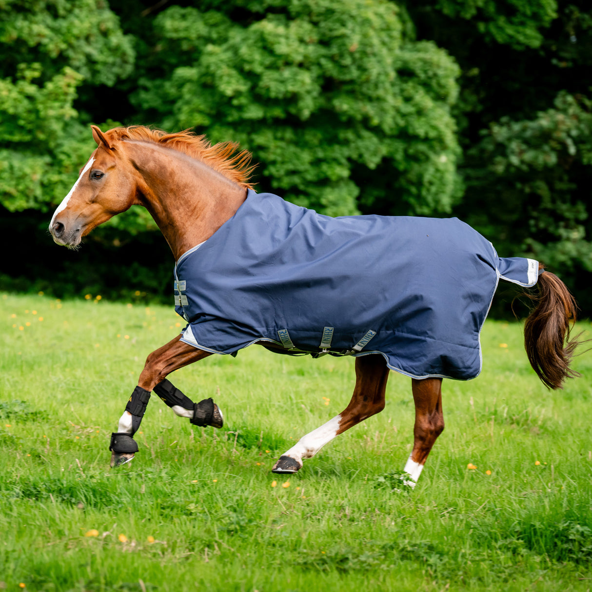 Rhino Original Lite Turnout Blanket 0 g