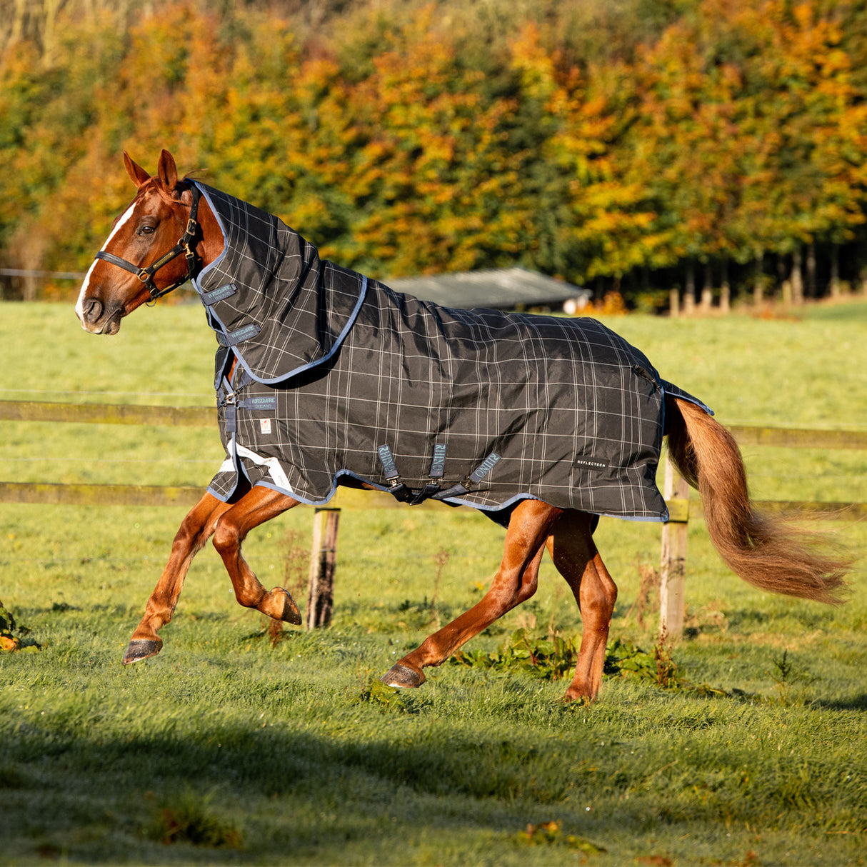 Rhino Reflectech Plus Medium Turnout Blanket 250 g