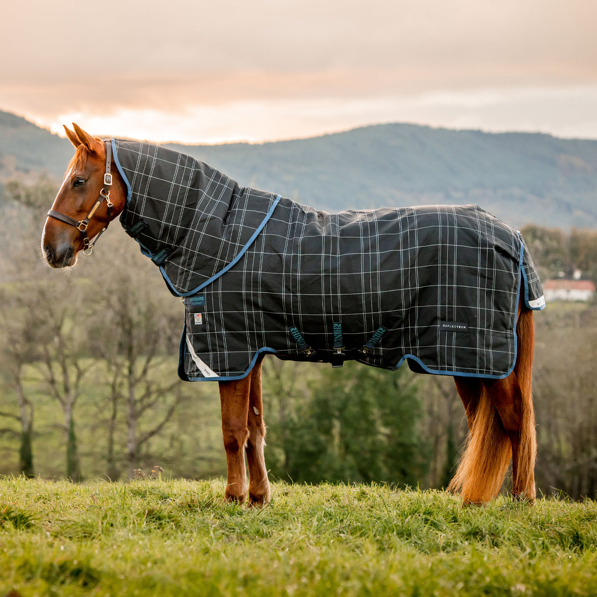 Rhino Reflectech Plus Medium Turnout Blanket 250 g