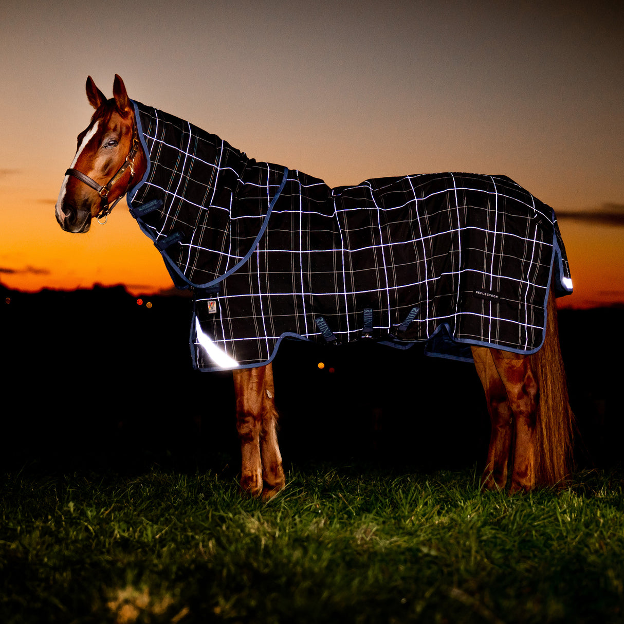 Rhino Reflectech Plus Medium Turnout Blanket 250 g
