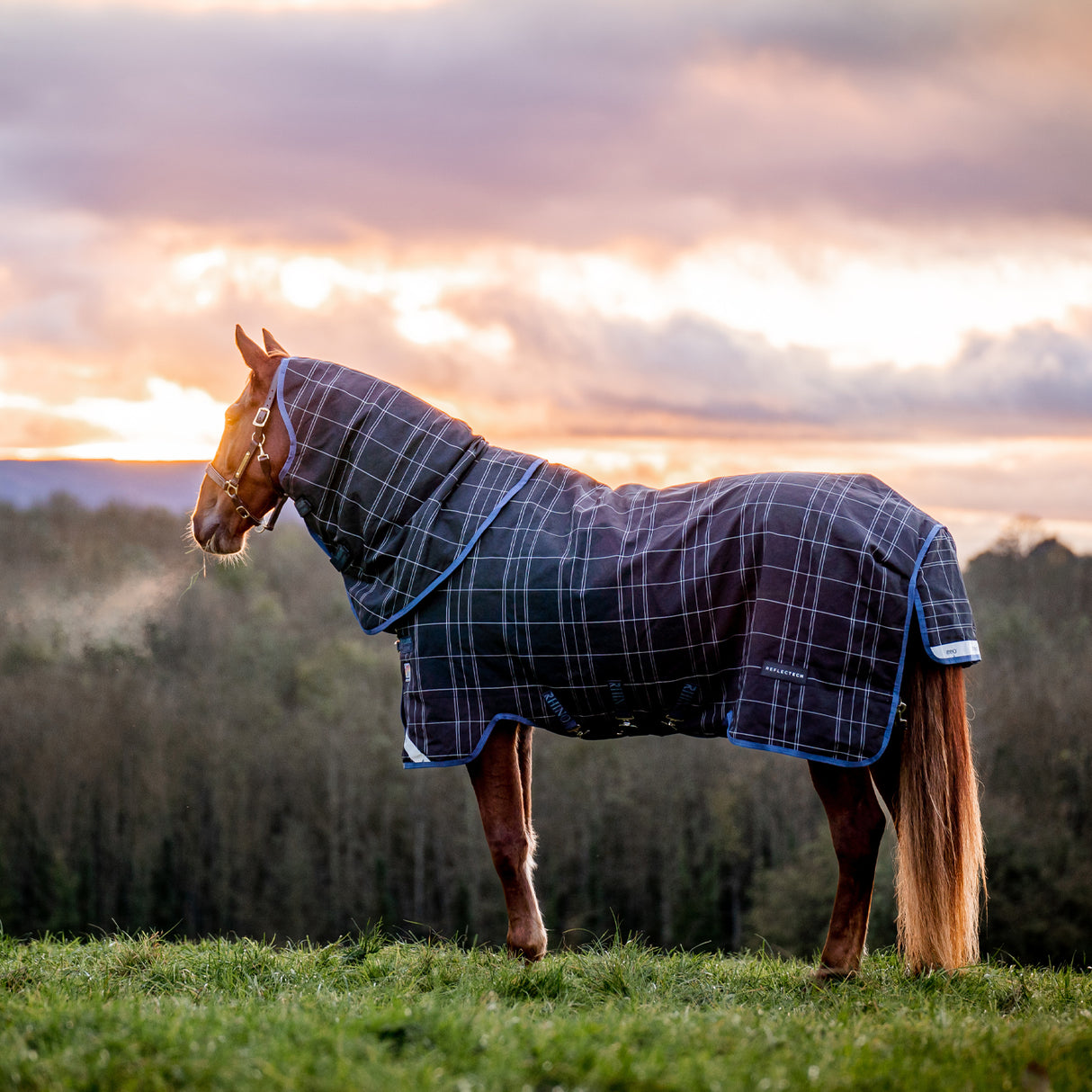 Rhino Reflectech Plus Medium Turnout Blanket 250 g