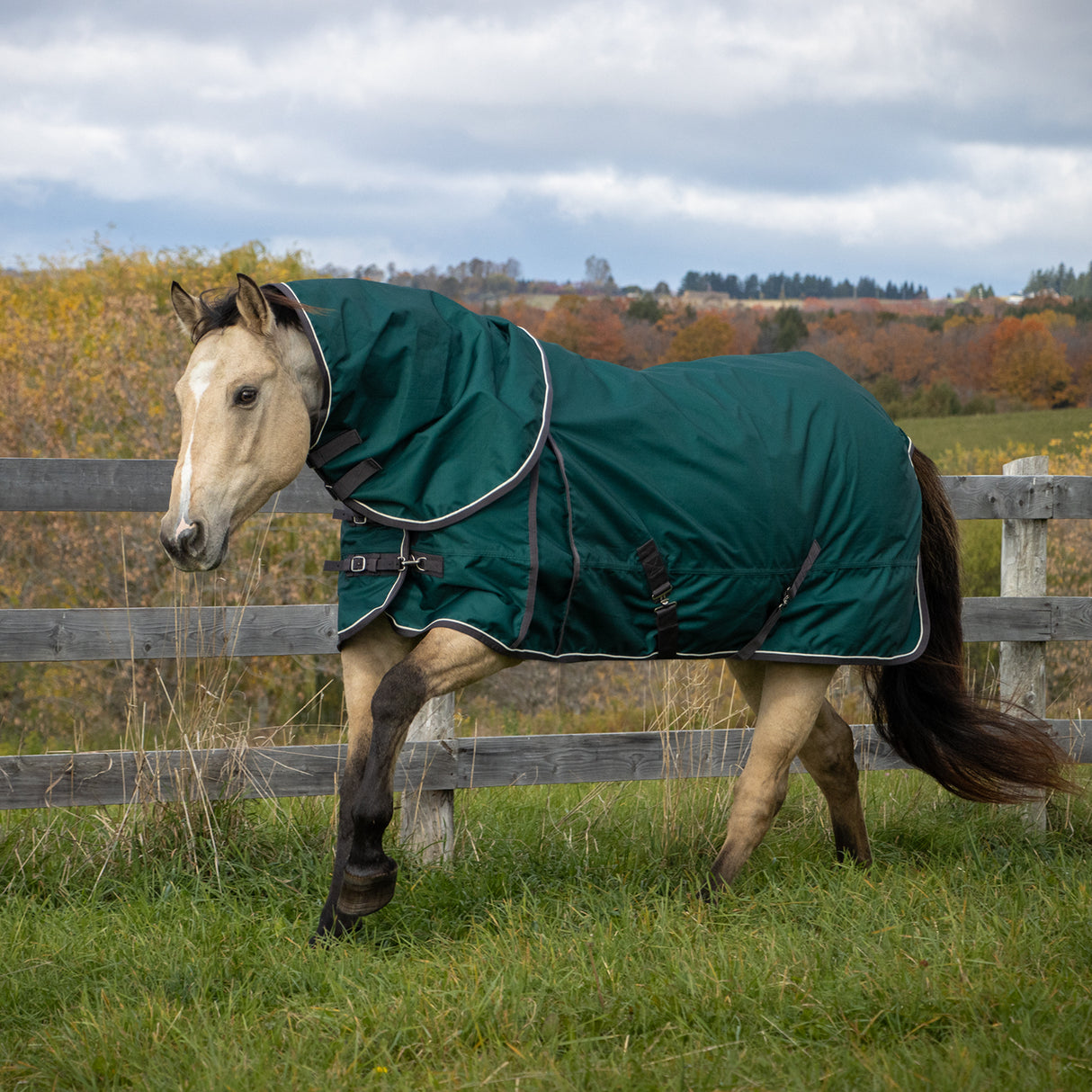 Shedrow Insulated Rainsheet W/ Hood 100 g